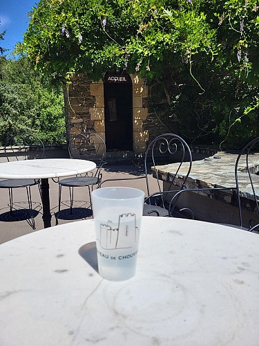 Château de Chouvigny