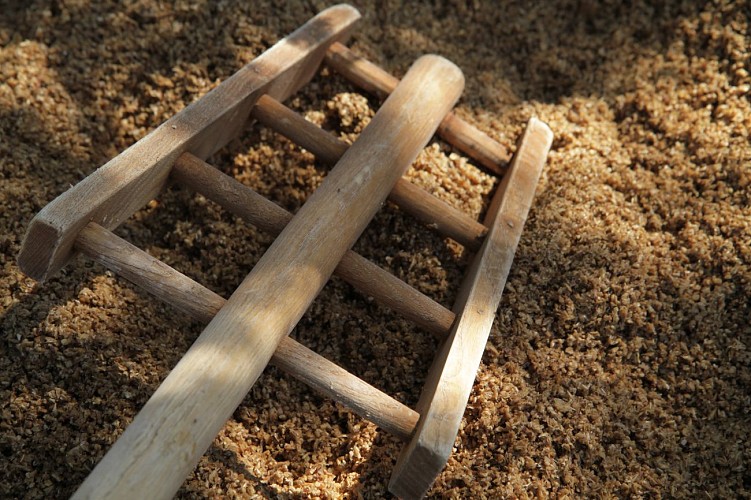 Brasserie du jugement dernier