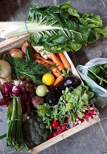 De nos champs à votre assiette