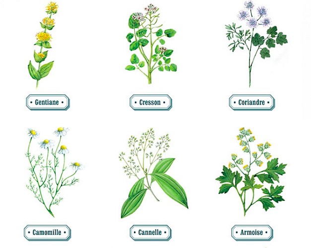 Eau de Mélisse des Carmes Boyer