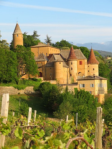 Château de Jarnioux