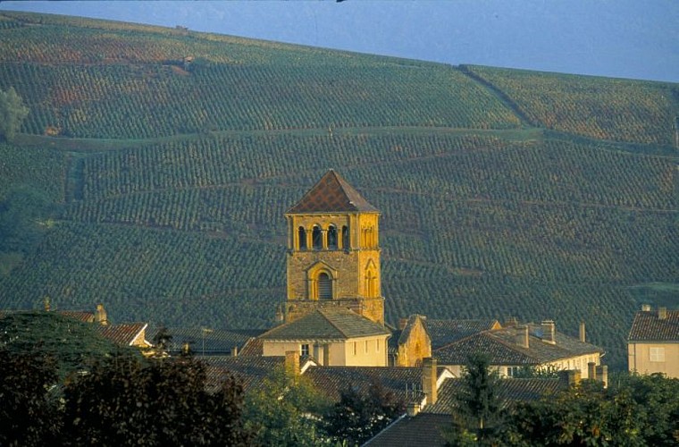 Cloître de Salles-Arbuissonnas