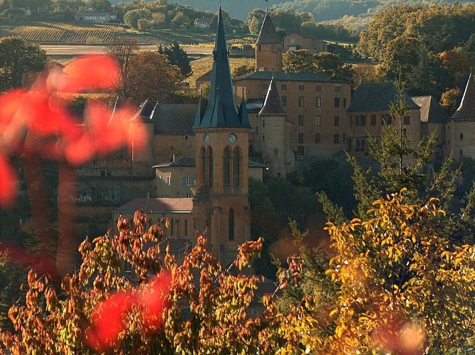The village of Jarnioux