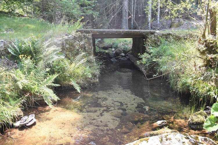 Gîte Vallée du Trèvezel - Serre Long