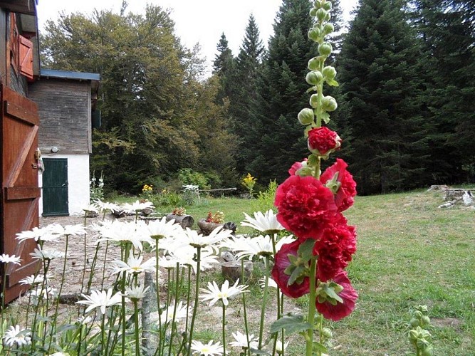 Gîte Vallée du Trèvezel - Serre Long