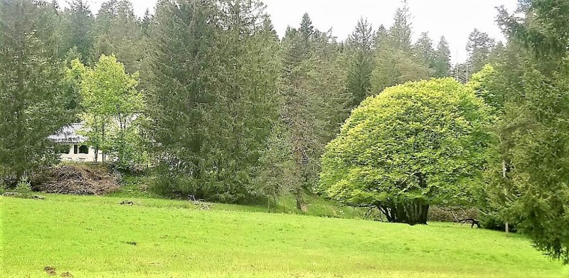 Gîte Vallée du Trèvezel - Serre Long