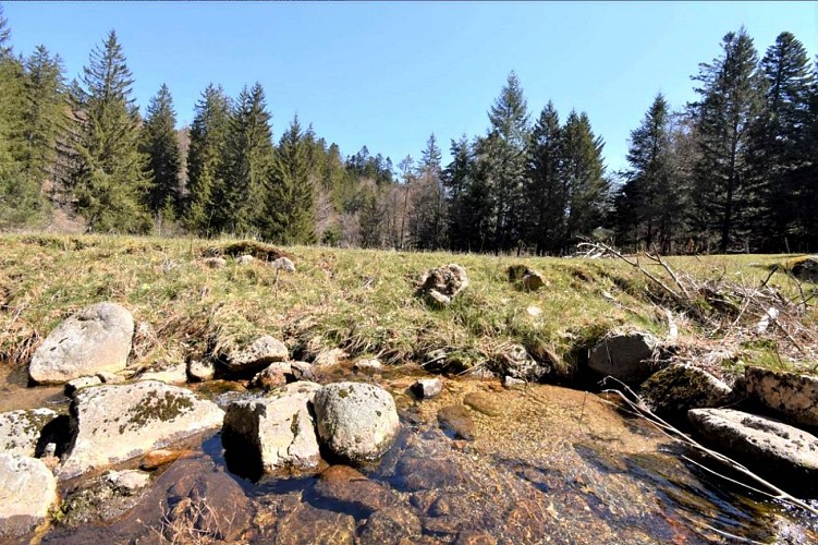 Gîte Vallée du Trèvezel - Serre Long