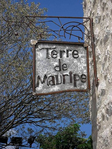 Terre de Mauripe