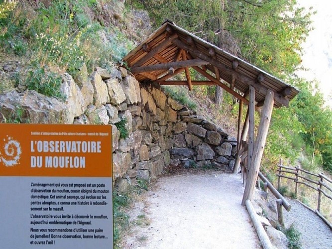 Observatoire de la faune sauvage et du Mouflon