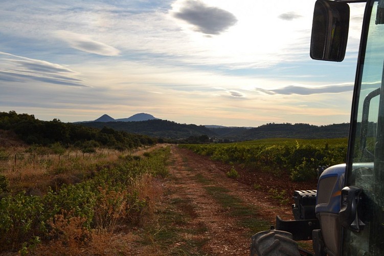 Domaine de Cantarelle