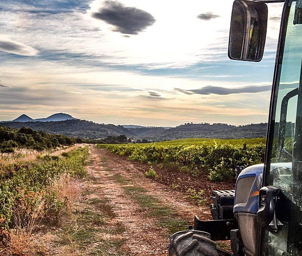 Domaine de Cantarelle