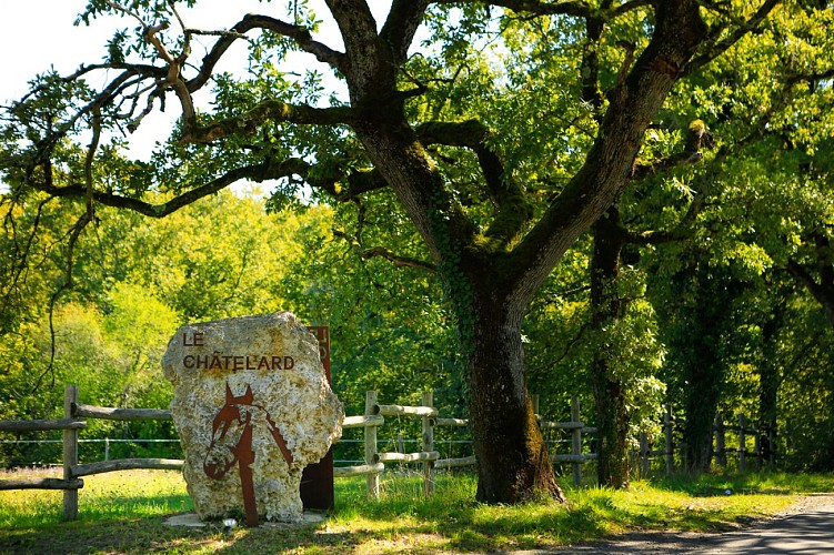 Domaine du Chatelard