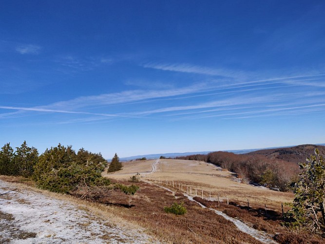 Routes de découverte du massif de l'Aigoual