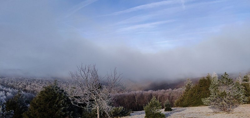 Routes de découverte du massif de l'Aigoual