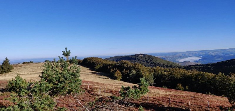 Routes de découverte du massif de l'Aigoual