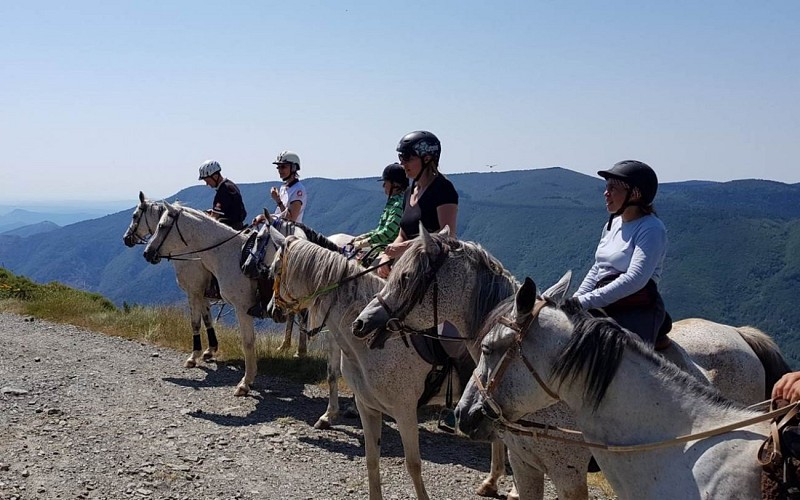 Horseback riding with Élevage Séranne Larzac