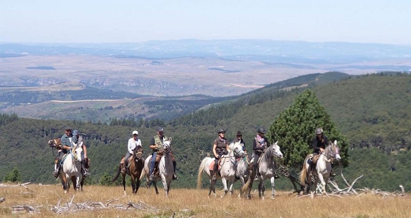 Horseback riding with Élevage Séranne Larzac