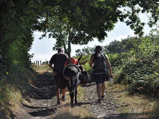 destination Le Beuvray