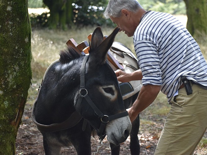 Noasis prêt à partir