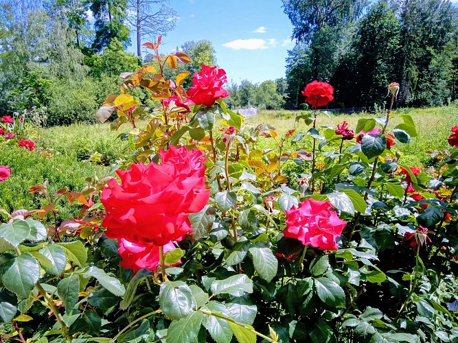 Domaine Départemental de Montauger