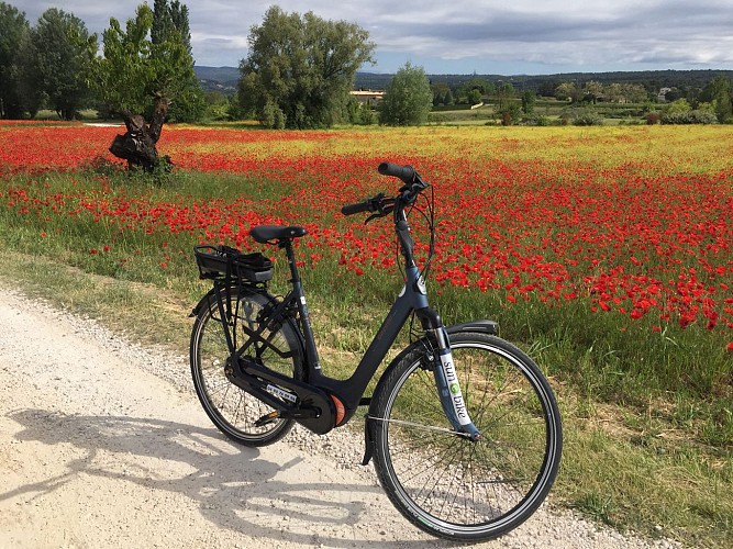 Sun-E-Bike, Fahrrad- und V.A.E.-Verleih