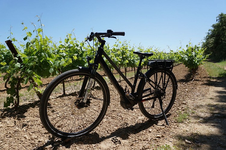 Sun-E-Bike, location vélos et V.A.E