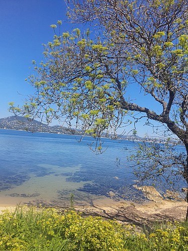 Plage du Treizain