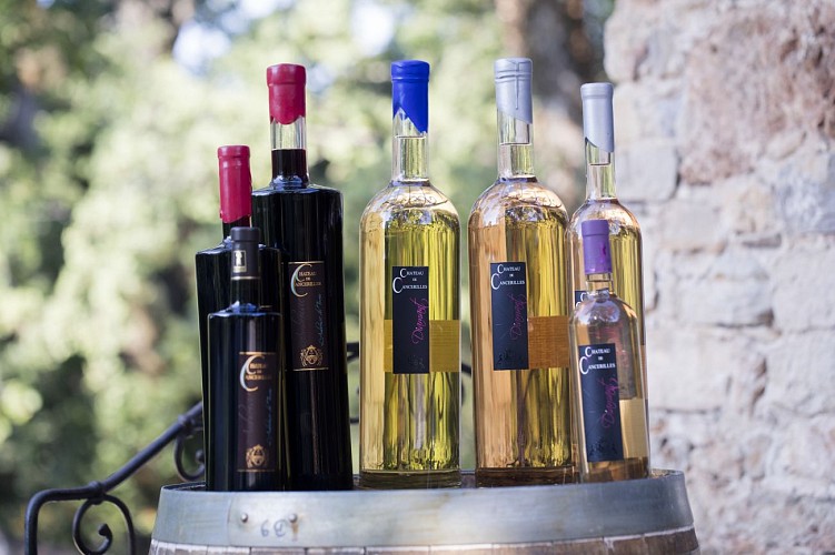 Château de Cancerilles