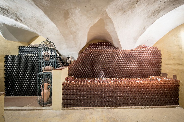 Château de Cancerilles