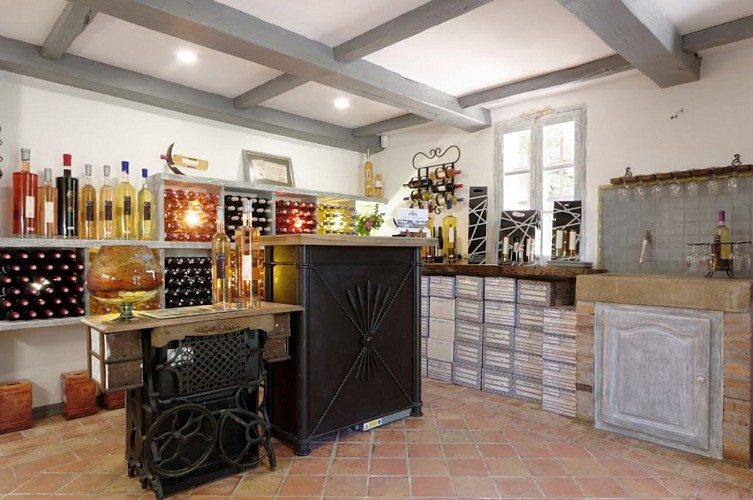 Château de Cancerilles