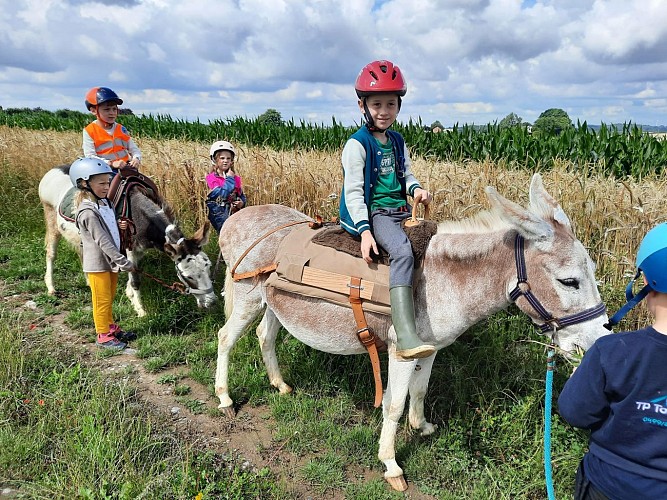 517429888_1049829437333499_7304495605439951504_n