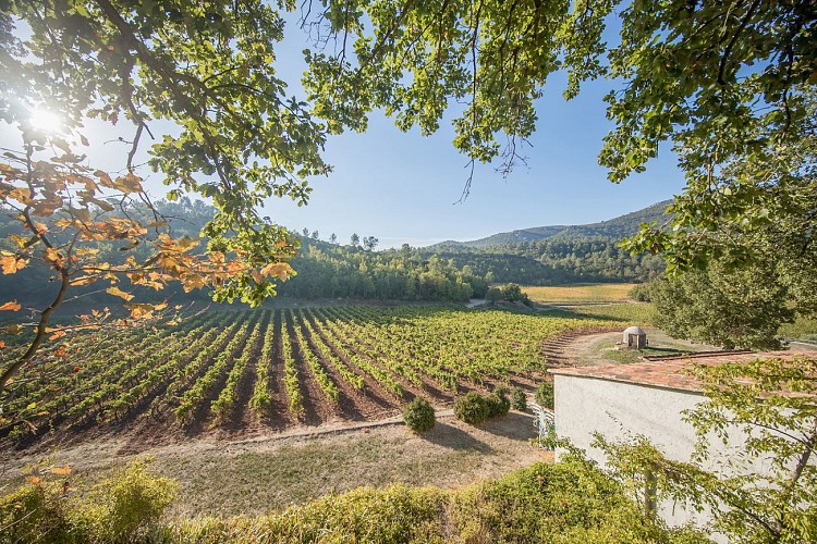 Château de Cancerilles - Appartement Coquelicot