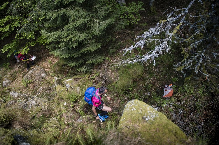 Laprugne Nord parcours vert : Parcours permanent d'orientation de La Loge des Gardes