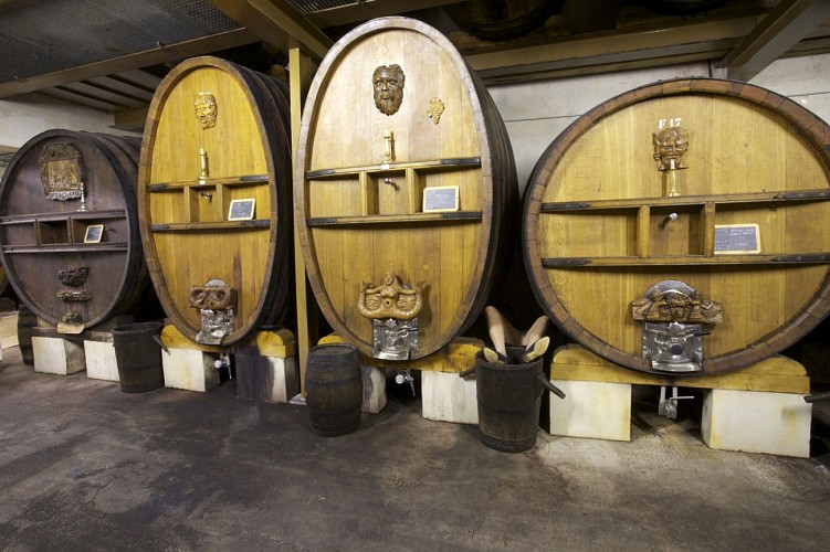 Wine domain Ray Jane