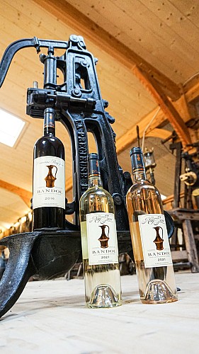 Wine domain Ray Jane