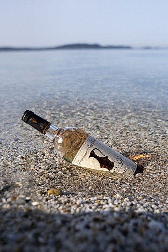 Wine domain Ray Jane