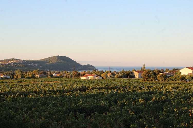 Château d'Azur