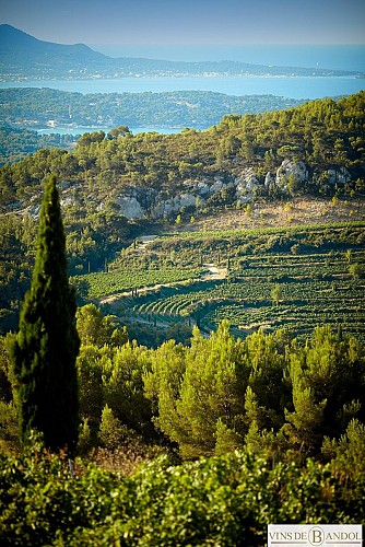 Maison des vins de Bandol