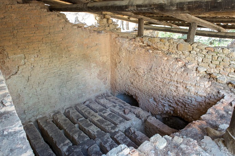 Gallo-Roman Museum of Tauroentum