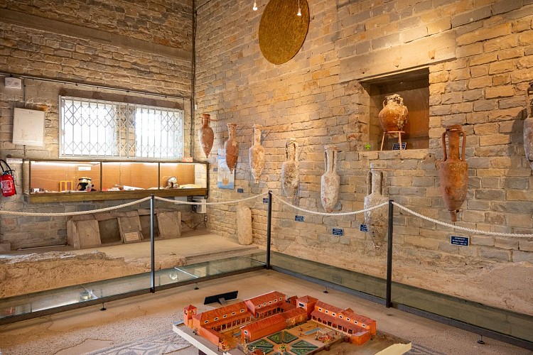 Museo Galo-Romano de Tauroentum