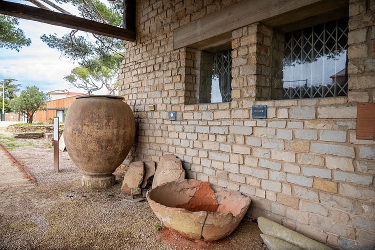 Museo Galo-Romano de Tauroentum