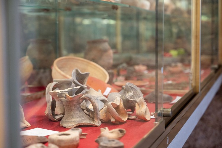 Museo gallo-romano di Tauroentum