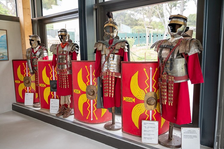 Museo gallo-romano di Tauroentum