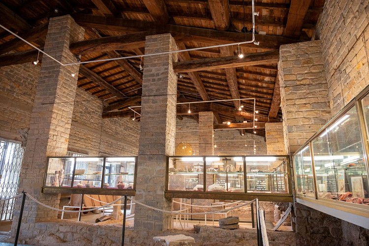 Museo gallo-romano di Tauroentum