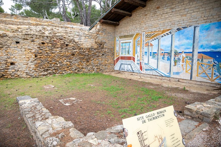 Gallo-Romeins Museum van Tauroentum
