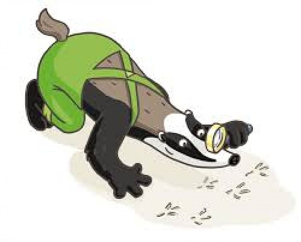 Jeu de piste Randoland - Feurs