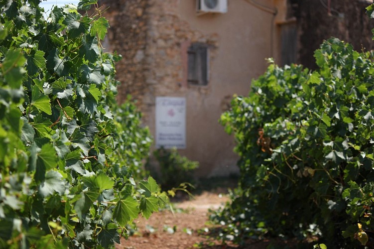 Domaine de l'Estagnol