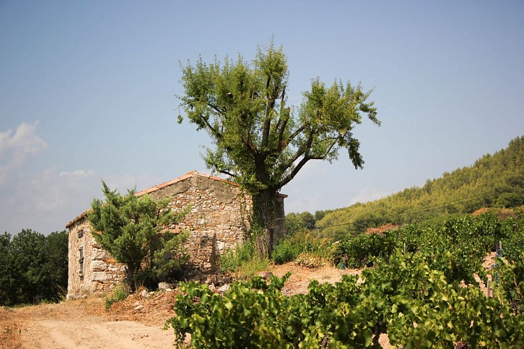 Domaine de l'Estagnol