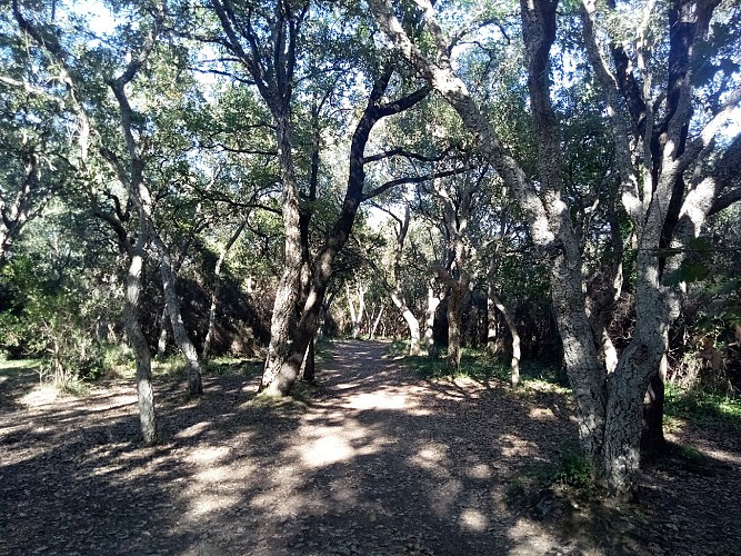 Natural park of Vaugrenier