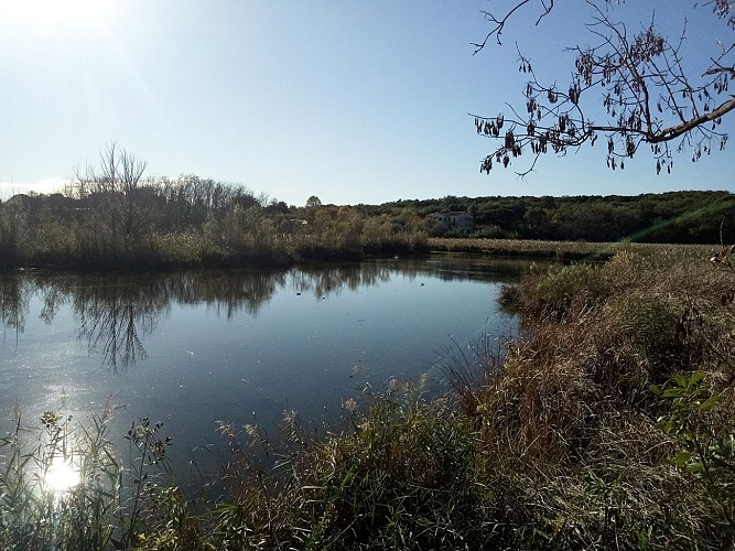 Natural park of Vaugrenier